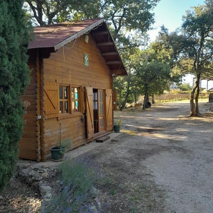 La Cabane En Bois Tourves Exteriör bild