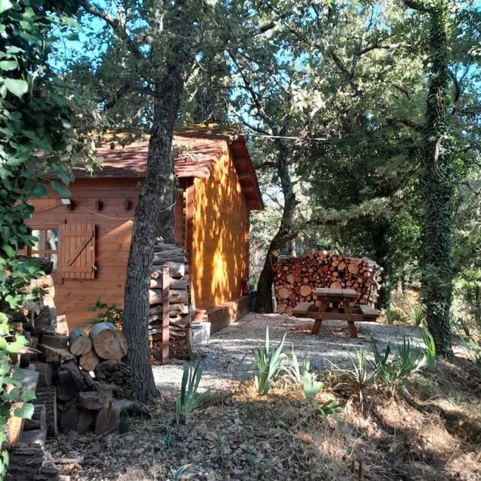 La Cabane En Bois Tourves Exteriör bild